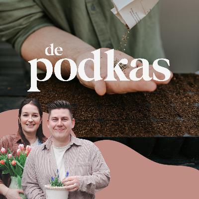 De Podkas #S2E1: Ontdek onze zaaitips | Tuinklusjes van de week | Thermogene sneeuwklokjes