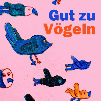 DER ROSAFLAMINGO (FOLGE 91) DER ROSAFLAMINGO (FOLGE 91)