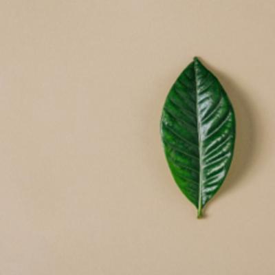 13 - Vivir con ansiedad