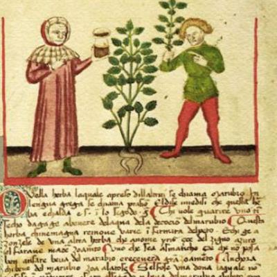 Medicine in Medieval England 1250-1500. Tradition. Medicine in Medieval England 1250-1500. Tradition.