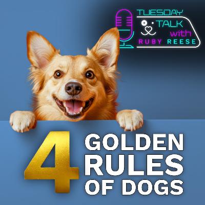 The 4 Golden Rules of Dogs