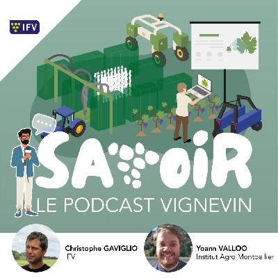 #S2 E8 Autoguidage des tracteurs vignerons, comment ça marche et que faut-il savoir avant de se lancer ?