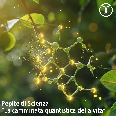 La camminata quantistica alla base della vita