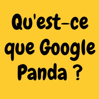 Google Panda c'est quoi ? - Ep. 1 - LPHS