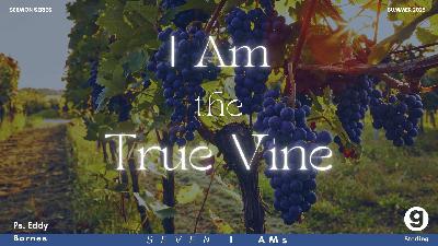 I Am The True Vine