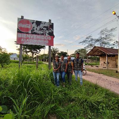 BIENESTAR ANIMAL EN GATOS