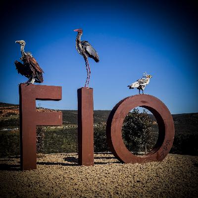 Monfragüe; aprender a mirar antes de que la vida salvaje desaparezca Monfragüe; aprender a mirar antes de que la vida salvaje desaparezca