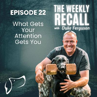 #22 What Gets Your Attention Gets You #22 What Gets Your Attention Gets You
