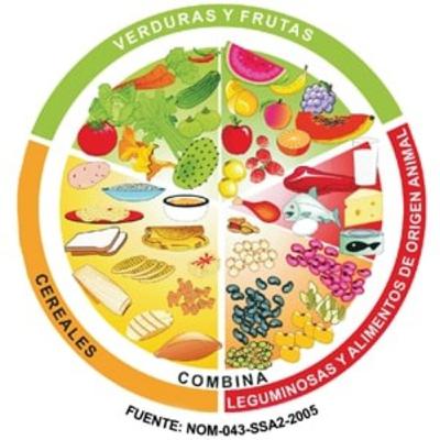 Suplementación deportiva para principiantes