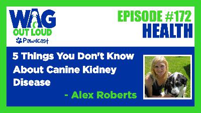 5 Things You Don’t Know About Canine Kidney Disease
