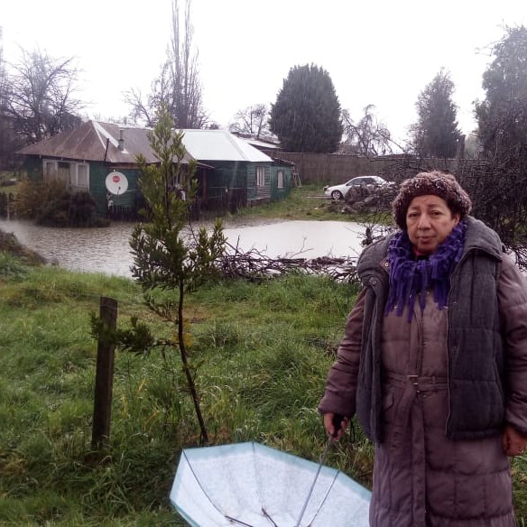 Vecina inundada en la ciudad de Osorno episode artwork