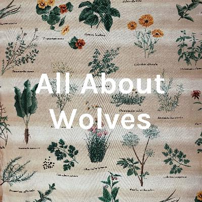 Text #3 All About Wolves- Wolves and Moose of Isle Royale Project, 2012