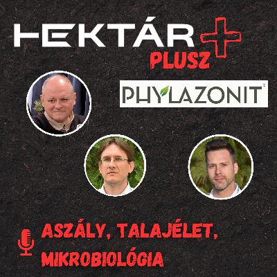 Láthatatlan segítség az aszályban: a mikrobiológia és a talajegészség - Phylazonit a HEKTÁR Pluszban