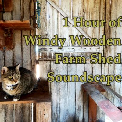 1 Hour Of Windy Barn Shed Soundscape