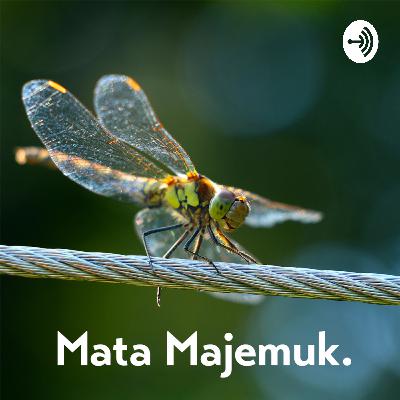 A Light in the Dark: Talking About Science Journalism with Yao-Hua Law