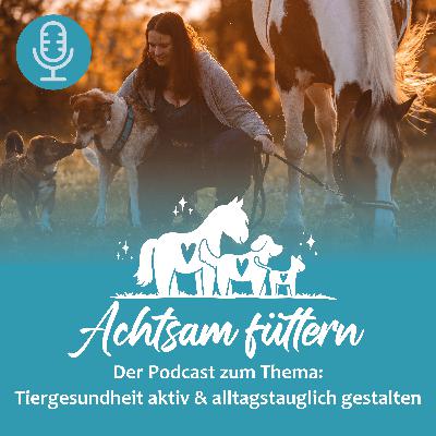 #Folge 21 - Freunde auf vier Hufen - Autorin Hanna Müller-Schipke im Interview #Folge 21 - Freunde auf vier Hufen - Autorin Hanna Müller-Schipke im Interview