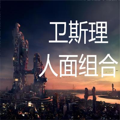 卫斯理系列@128人面组合