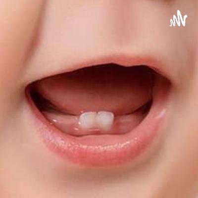 Desenvolvimento da dentição decídua