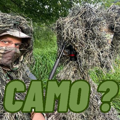 Camouflage en photo animalière : invisible en forêt ? Trucs et astuces selon votre budget