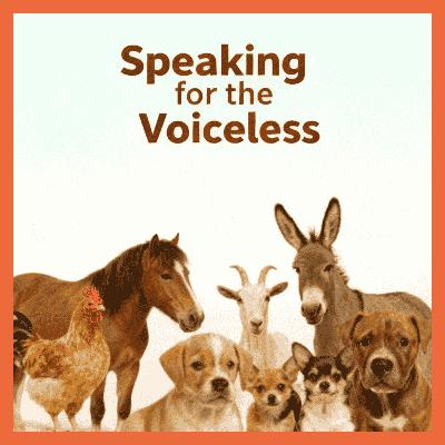 Speaking for the Voiceless with Dr Mark Animal Advocate