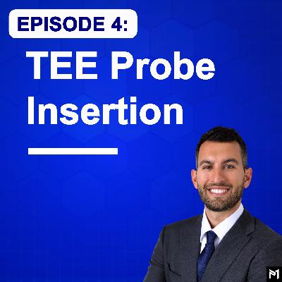 4. Proper TEE Probe Insertion and Troubleshooting