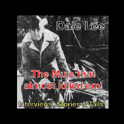 The Mule that almost killed Dale Lee! The Mule that almost killed Dale Lee!