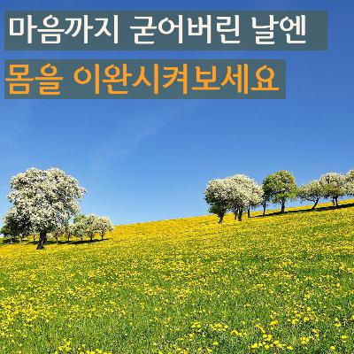 깊은 이완으로 마음을 풀어주는 명상 | 요가 니드라 Ep.1