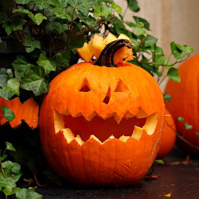 What to do with jack-o-lanterns after Halloween