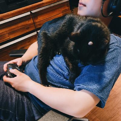 37. 我们家的奶奶猫19岁啦! 37. 我们家的奶奶猫19岁啦!