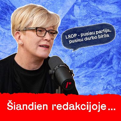 Socialdemokratų apsimetinėjimas, geopolitinės grėsmės ir Žemaitaičio bailumas | Ingrida Šimonytė Socialdemokratų apsimetinėjimas, geopolitinės grėsmės ir Žemaitaičio bailumas | Ingrida Šimonytė
