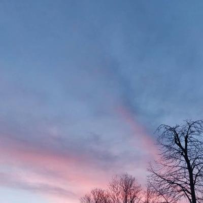 Episode 27: If they wanted to, they would, catching-up & ASMR! Episode 27: If they wanted to, they would, catching-up & ASMR!