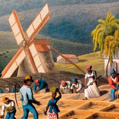 LA AGRICULTURA EN EL VIRREINATO