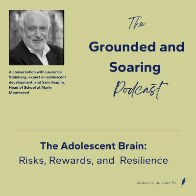 The Adolescent Brain: Risks, Rewards, and Resilience The Adolescent Brain: Risks, Rewards, and Resilience