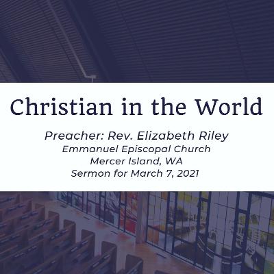 Christian In The World (sermon) Christian In The World (sermon)