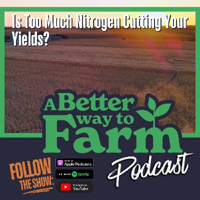 310: Is Too Much Nitrogen Cutting Your Yields? 310: Is Too Much Nitrogen Cutting Your Yields?