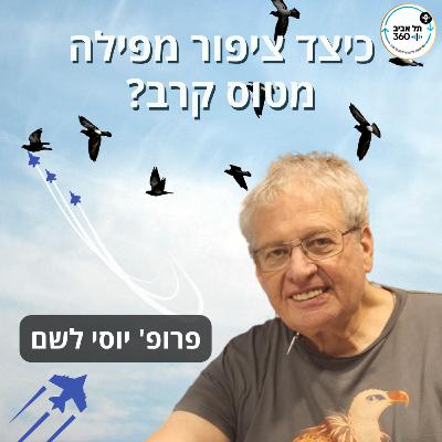 כיצד ציפור מפילה מטוס קרב? | לעוף עם ציפורים (פרק 2)