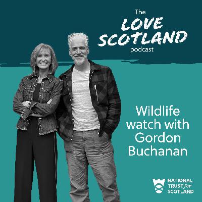 Wildlife watch with Gordon Buchanan