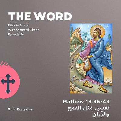 Episode 56 تفسير مَثَل القمح والَزّوان