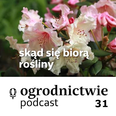 #031 skąd się biorą rośliny - o ogrodnictwie #031 skąd się biorą rośliny - o ogrodnictwie