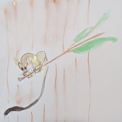 Brush Tailed Rabbit Rat