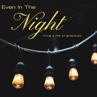 Great(ful) | Part 3 - Even in the Night