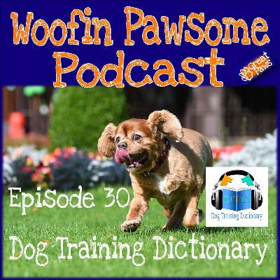 Dog Training Dictionary - Episode 30 Dog Training Dictionary - Episode 30