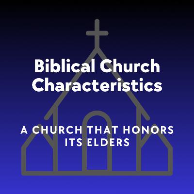 A Tisza-modell: Franchise-párt vagy egyszemélyes mozgalom?