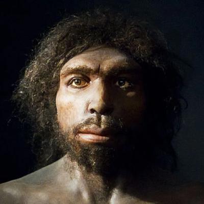 El Homo antecessor: recalibrando la evolución homínida.