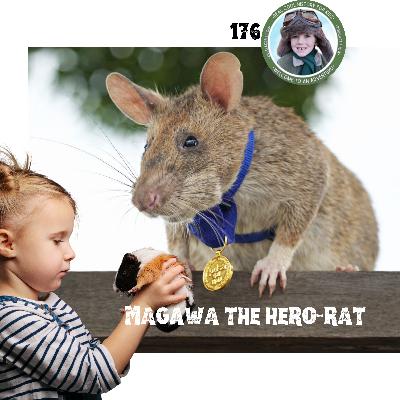 Magawa, the HeroRat (a special episode for Anna Buckingham)