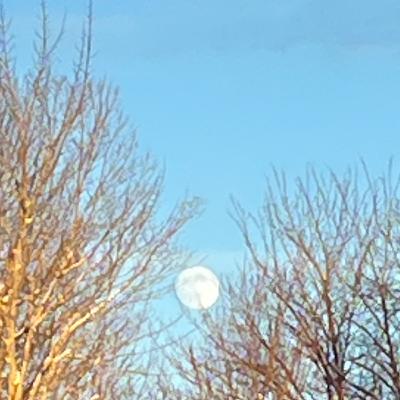 Tap the Brakes Tap the Brakes