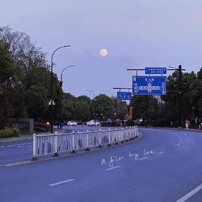 读书|3位女作家的散文集|张爱玲|萧红|武田百合子 读书|3位女作家的散文集|张爱玲|萧红|武田百合子