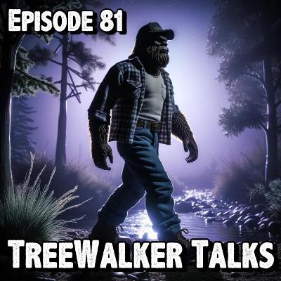 Episode 81