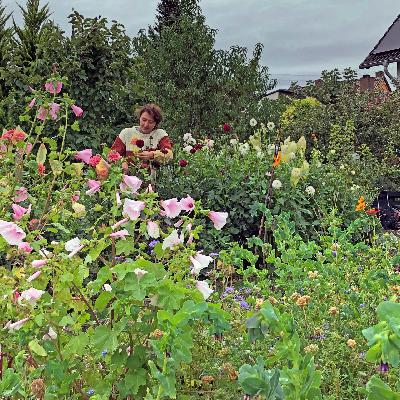 Eine Ausnahme: regionale, saisonale und nachhaltige Blumensträuße Eine Ausnahme: regionale, saisonale und nachhaltige Blumensträuße