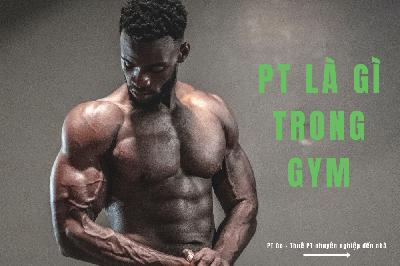 PT là gì trong Gym? Giá thuê PT Gym huấn luyện viên cá nhân tại nhà PT là gì trong Gym? Giá thuê PT Gym huấn luyện viên cá nhân tại nhà